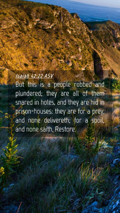 Picture 04 - Isaiah 42:22 ASV Mobile Phone Wallpaper - But this is a people robbed and plundered; they - Mobile Bible Verse Wallpaper