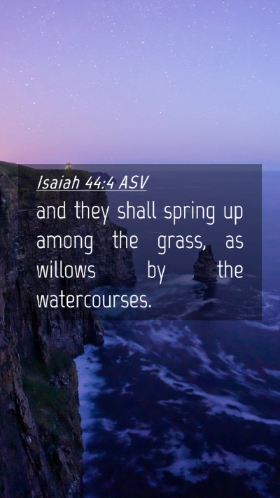 Picture 04 - Isaiah 44:4 ASV Mobile Phone Wallpaper - and they shall spring up among the grass, as - Mobile Bible Verse Wallpaper