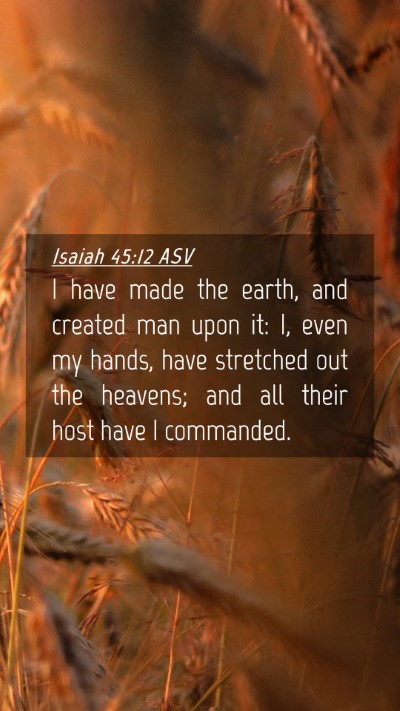 Picture 04 - Isaiah 45:12 ASV Mobile Phone Wallpaper - I have made the earth, and created man upon it: - Mobile Bible Verse Wallpaper