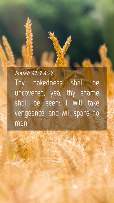 Picture 04 - Isaiah 47:3 ASV Mobile Phone Wallpaper - Thy nakedness shall be uncovered, yea, thy shame - Mobile Bible Verse Wallpaper