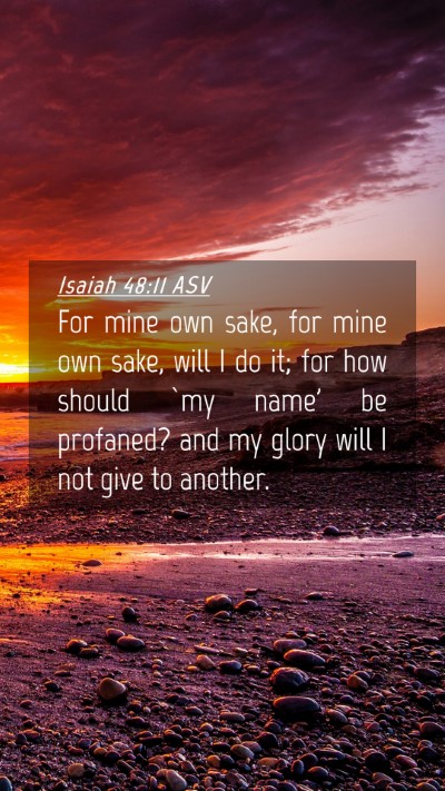 Picture 04 - Isaiah 48:11 ASV Mobile Phone Wallpaper - For mine own sake, for mine own sake, will I do - Mobile Bible Verse Wallpaper
