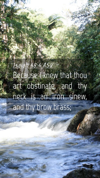 Picture 04 - Isaiah 48:4 ASV Mobile Phone Wallpaper - Because I knew that thou art obstinate, and thy - Mobile Bible Verse Wallpaper