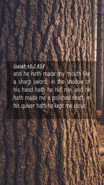Picture 04 - Isaiah 49:2 ASV Mobile Phone Wallpaper - and he hath made my mouth like a sharp sword; in - Mobile Bible Verse Wallpaper