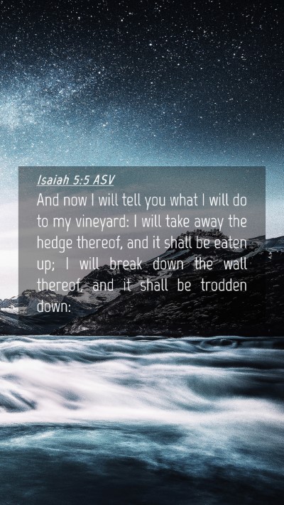 Picture 04 - Isaiah 5:5 ASV Mobile Phone Wallpaper - And now I will tell you what I will do to my - Mobile Bible Verse Wallpaper