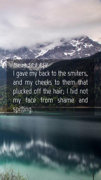 Picture 04 - Isaiah 50:6 ASV Mobile Phone Wallpaper - I gave my back to the smiters, and my cheeks to - Mobile Bible Verse Wallpaper