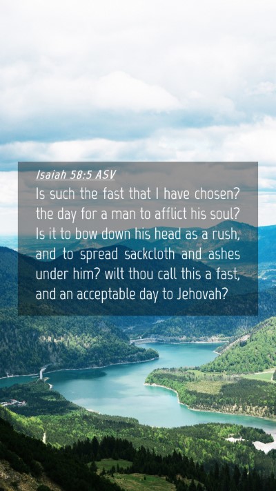 Picture 04 - Isaiah 58:5 ASV Mobile Phone Wallpaper - Is such the fast that I have chosen? the day for - Mobile Bible Verse Wallpaper
