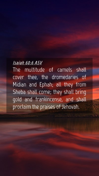 Picture 04 - Isaiah 60:6 ASV Mobile Phone Wallpaper - The multitude of camels shall cover thee, the - Mobile Bible Verse Wallpaper