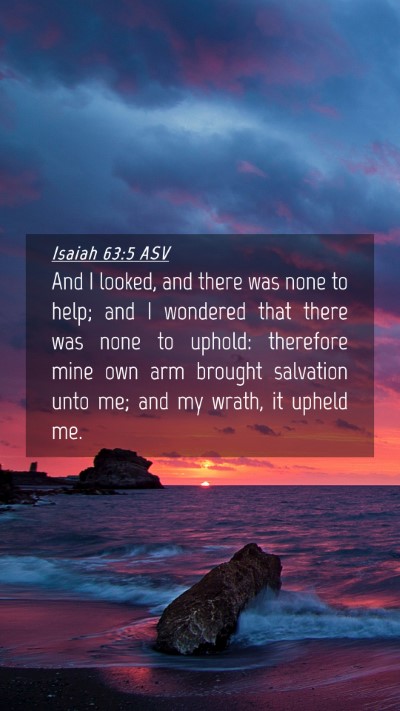 Picture 04 - Isaiah 63:5 ASV Mobile Phone Wallpaper - And I looked, and there was none to help; and I - Mobile Bible Verse Wallpaper