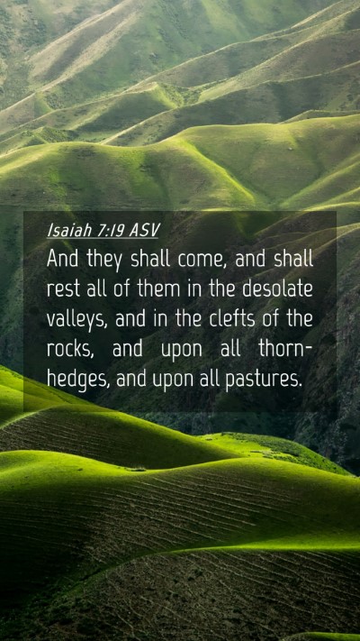 Picture 04 - Isaiah 7:19 ASV Mobile Phone Wallpaper - And they shall come, and shall rest all of them - Mobile Bible Verse Wallpaper