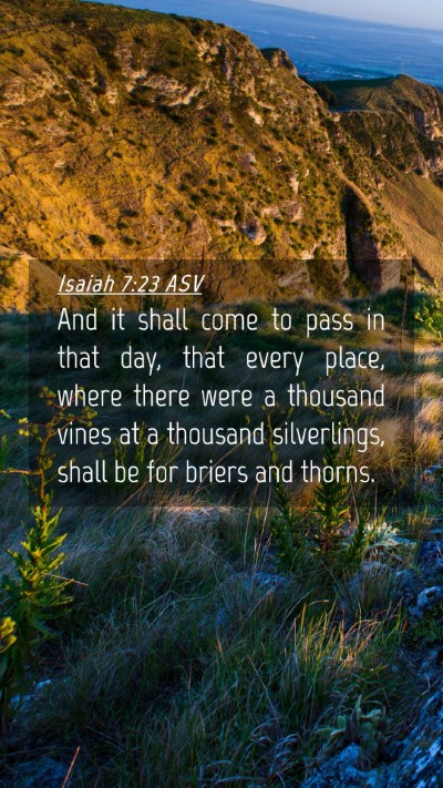 Picture 04 - Isaiah 7:23 ASV Mobile Phone Wallpaper - And it shall come to pass in that day, that every - Mobile Bible Verse Wallpaper