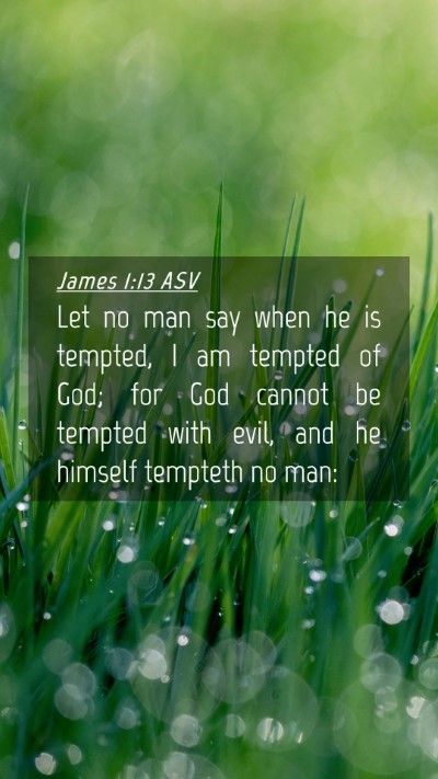 Picture 04 - James 1:13 ASV Mobile Phone Wallpaper - Let no man say when he is tempted, I am tempted - Mobile Bible Verse Wallpaper