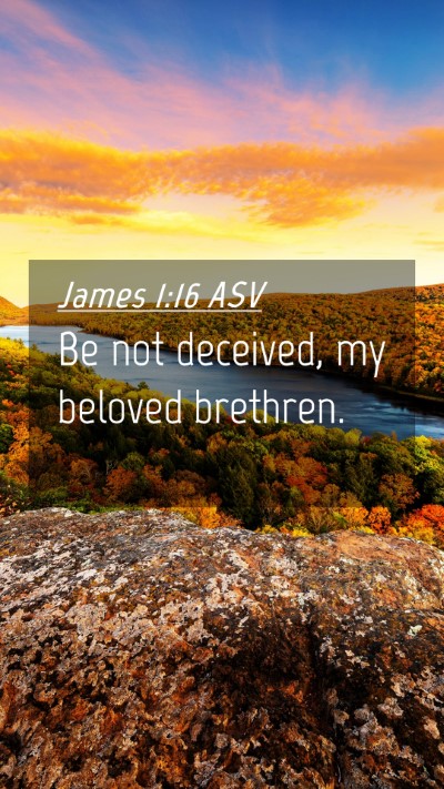 Picture 04 - James 1:16 ASV Mobile Phone Wallpaper - Be not deceived, my beloved - Mobile Bible Verse Wallpaper