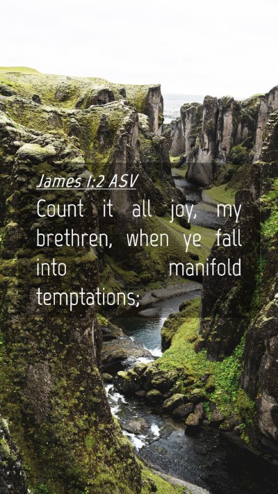 Picture 04 - James 1:2 ASV Mobile Phone Wallpaper - Count it all joy, my brethren, when ye fall into - Mobile Bible Verse Wallpaper