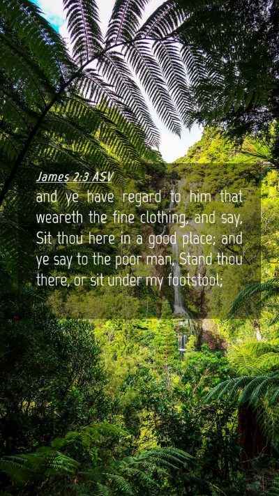 Picture 04 - James 2:3 ASV Mobile Phone Wallpaper - and ye have regard to him that weareth the fine - Mobile Bible Verse Wallpaper
