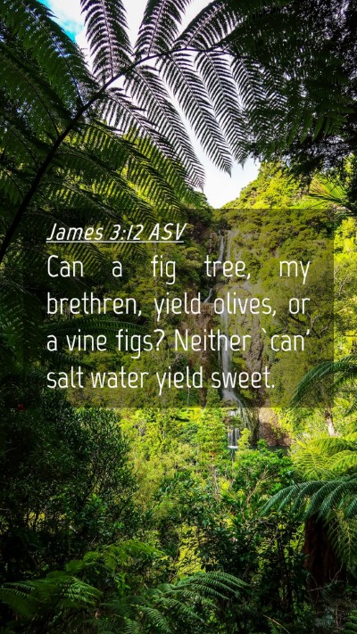 Picture 04 - James 3:12 ASV Mobile Phone Wallpaper - Can a fig tree, my brethren, yield olives, or a - Mobile Bible Verse Wallpaper