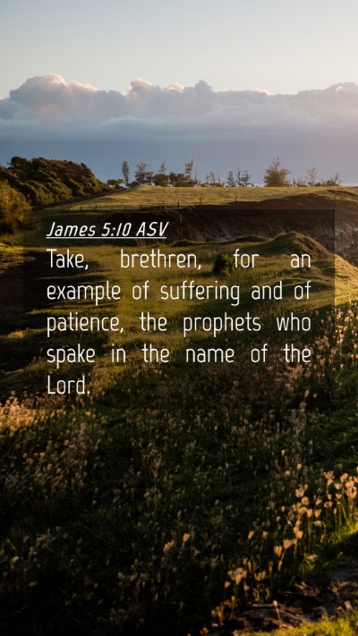 Picture 04 - James 5:10 ASV Mobile Phone Wallpaper - Take, brethren, for an example of suffering and - Mobile Bible Verse Wallpaper