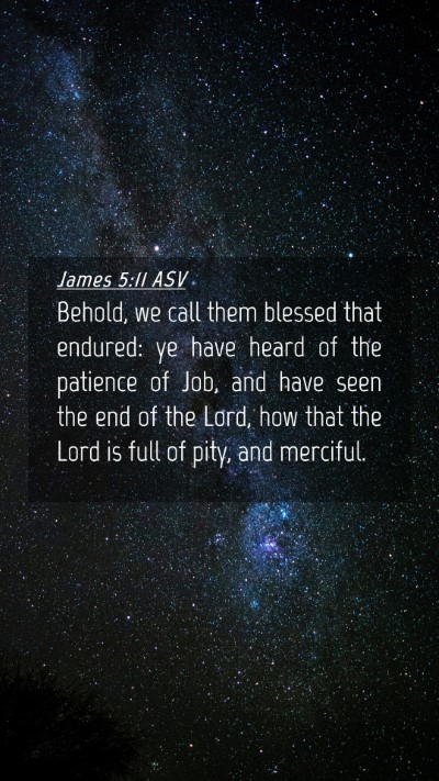 Picture 04 - James 5:11 ASV Mobile Phone Wallpaper - Behold, we call them blessed that endured: ye - Mobile Bible Verse Wallpaper