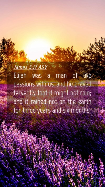 Picture 04 - James 5:17 ASV Mobile Phone Wallpaper - Elijah was a man of like passions with us, and he - Mobile Bible Verse Wallpaper