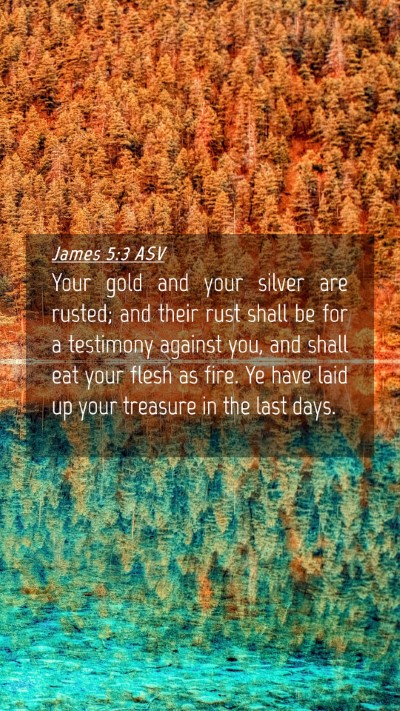 Picture 04 - James 5:3 ASV Mobile Phone Wallpaper - Your gold and your silver are rusted; and their - Mobile Bible Verse Wallpaper