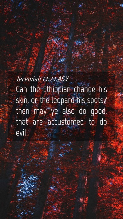 Picture 04 - Jeremiah 13:23 ASV Mobile Phone Wallpaper - Can the Ethiopian change his skin, or the leopard - Mobile Bible Verse Wallpaper