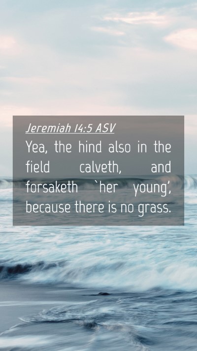 Picture 04 - Jeremiah 14:5 ASV Mobile Phone Wallpaper - Yea, the hind also in the field calveth, and - Mobile Bible Verse Wallpaper