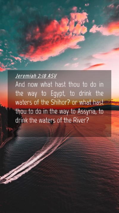 Picture 04 - Jeremiah 2:18 ASV Mobile Phone Wallpaper - And now what hast thou to do in the way to Egypt, - Mobile Bible Verse Wallpaper