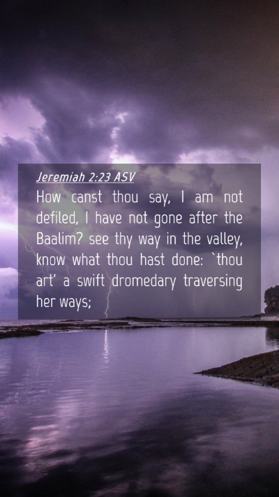 Picture 04 - Jeremiah 2:23 ASV Mobile Phone Wallpaper - How canst thou say, I am not defiled, I have not - Mobile Bible Verse Wallpaper