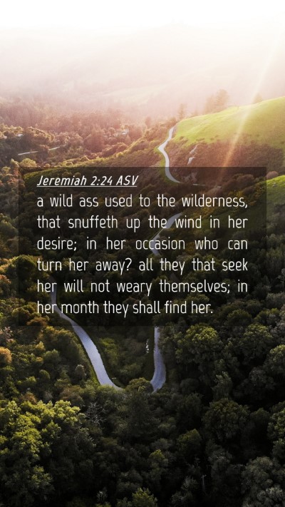 Picture 04 - Jeremiah 2:24 ASV Mobile Phone Wallpaper - a wild ass used to the wilderness, that snuffeth - Mobile Bible Verse Wallpaper