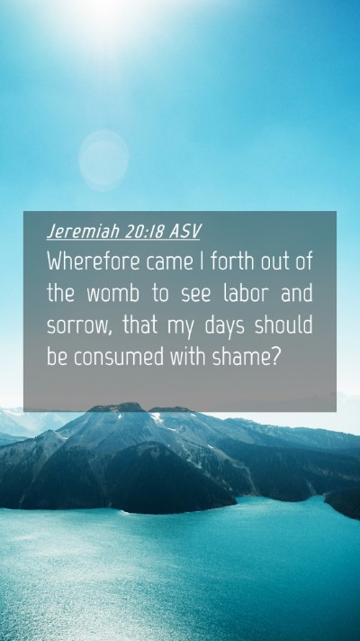 Picture 04 - Jeremiah 20:18 ASV Mobile Phone Wallpaper - Wherefore came I forth out of the womb to see - Mobile Bible Verse Wallpaper