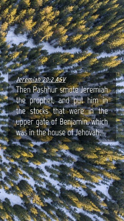Picture 04 - Jeremiah 20:2 ASV Mobile Phone Wallpaper - Then Pashhur smote Jeremiah the prophet, and put - Mobile Bible Verse Wallpaper