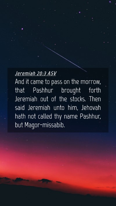 Picture 04 - Jeremiah 20:3 ASV Mobile Phone Wallpaper - And it came to pass on the morrow, that Pashhur - Mobile Bible Verse Wallpaper