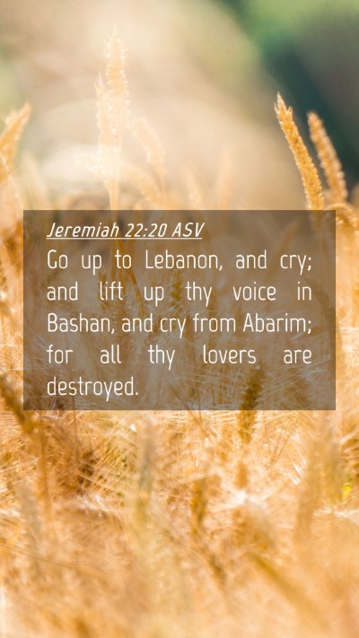Picture 04 - Jeremiah 22:20 ASV Mobile Phone Wallpaper - Go up to Lebanon, and cry; and lift up thy voice - Mobile Bible Verse Wallpaper