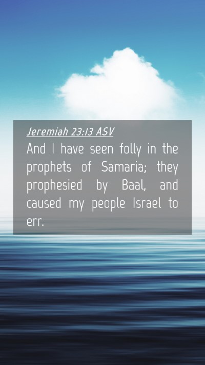 Picture 04 - Jeremiah 23:13 ASV Mobile Phone Wallpaper - And I have seen folly in the prophets of Samaria; - Mobile Bible Verse Wallpaper