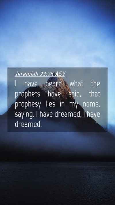 Picture 04 - Jeremiah 23:25 ASV Mobile Phone Wallpaper - I have heard what the prophets have said, that - Mobile Bible Verse Wallpaper