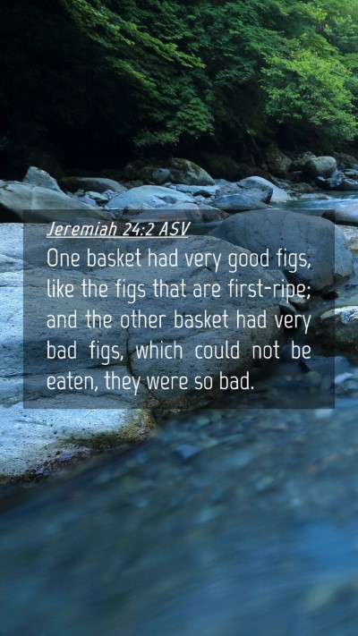 Picture 04 - Jeremiah 24:2 ASV Mobile Phone Wallpaper - One basket had very good figs, like the figs that - Mobile Bible Verse Wallpaper