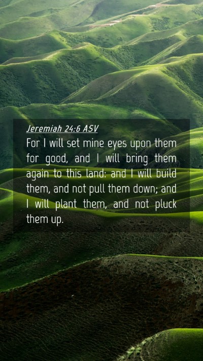Picture 04 - Jeremiah 24:6 ASV Mobile Phone Wallpaper - For I will set mine eyes upon them for good, and - Mobile Bible Verse Wallpaper