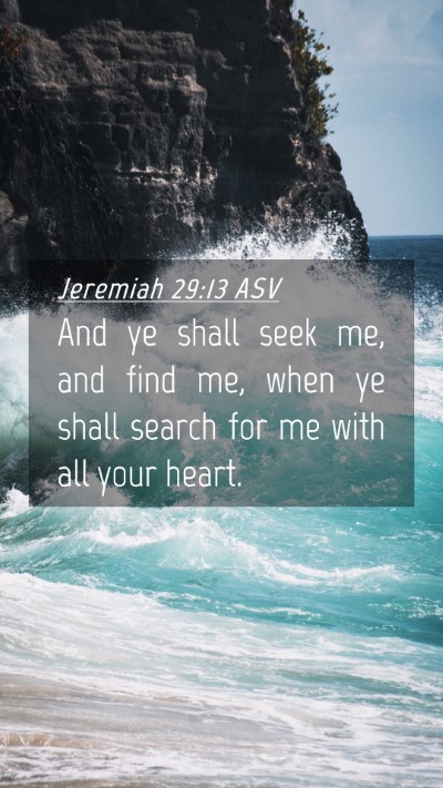 Picture 04 - Jeremiah 29:13 ASV Mobile Phone Wallpaper - And ye shall seek me, and find me, when ye shall - Mobile Bible Verse Wallpaper