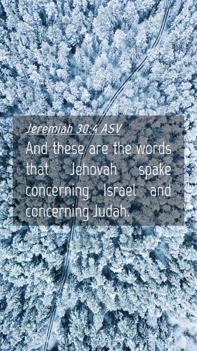 Picture 04 - Jeremiah 30:4 ASV Mobile Phone Wallpaper - And these are the words that Jehovah spake - Mobile Bible Verse Wallpaper