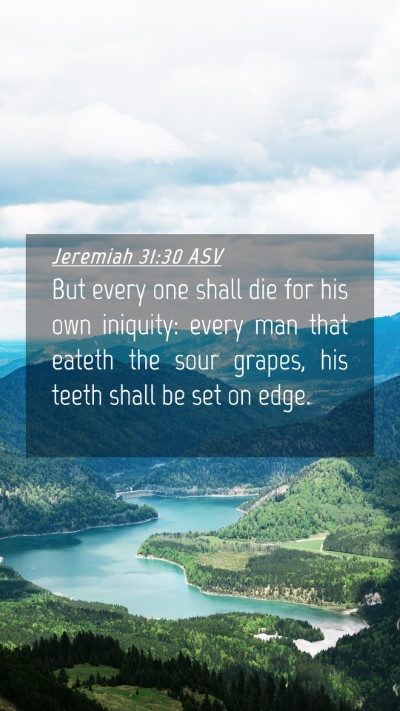 Picture 04 - Jeremiah 31:30 ASV Mobile Phone Wallpaper - But every one shall die for his own iniquity: - Mobile Bible Verse Wallpaper