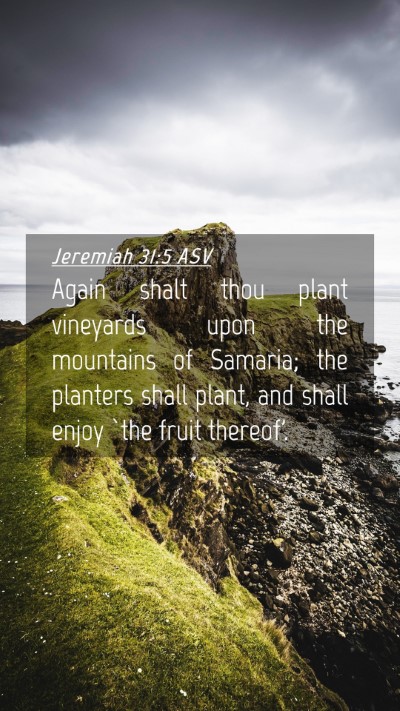 Picture 04 - Jeremiah 31:5 ASV Mobile Phone Wallpaper - Again shalt thou plant vineyards upon the - Mobile Bible Verse Wallpaper