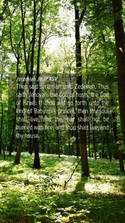Picture 04 - Jeremiah 38:17 ASV Mobile Phone Wallpaper - Then said Jeremiah unto Zedekiah, Thus saith - Mobile Bible Verse Wallpaper