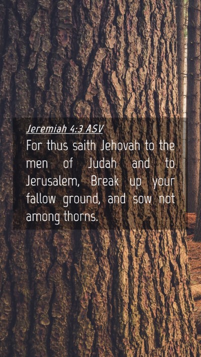Picture 04 - Jeremiah 4:3 ASV Mobile Phone Wallpaper - For thus saith Jehovah to the men of Judah and to - Mobile Bible Verse Wallpaper