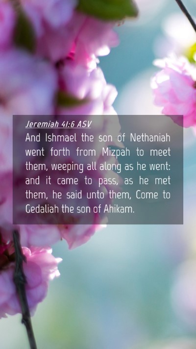 Picture 04 - Jeremiah 41:6 ASV Mobile Phone Wallpaper - And Ishmael the son of Nethaniah went forth from - Mobile Bible Verse Wallpaper