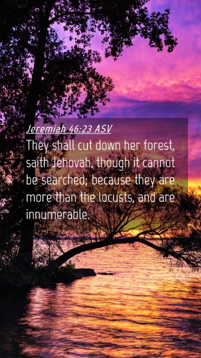 Picture 04 - Jeremiah 46:23 ASV Mobile Phone Wallpaper - They shall cut down her forest, saith Jehovah, - Mobile Bible Verse Wallpaper