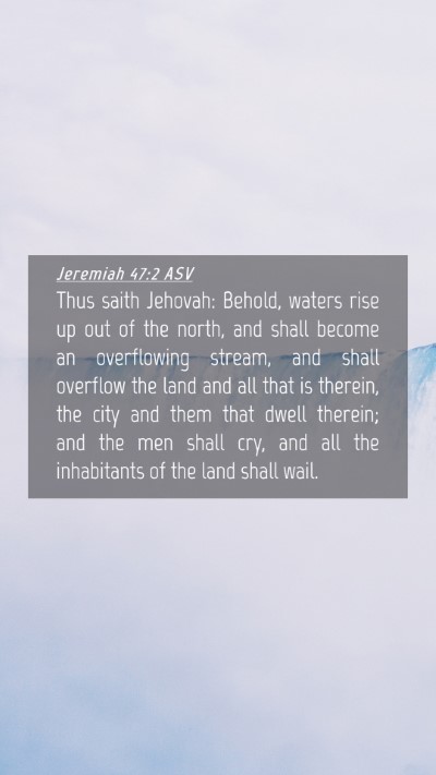 Picture 04 - Jeremiah 47:2 ASV Mobile Phone Wallpaper - Thus saith Jehovah: Behold, waters rise up out of - Mobile Bible Verse Wallpaper