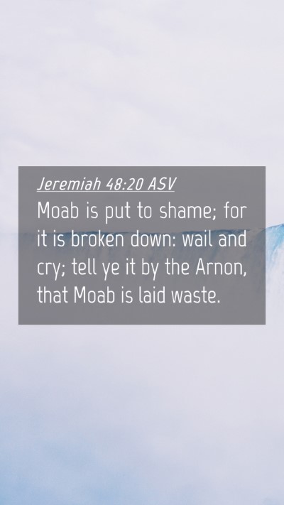 Picture 04 - Jeremiah 48:20 ASV Mobile Phone Wallpaper - Moab is put to shame; for it is broken down: wail - Mobile Bible Verse Wallpaper
