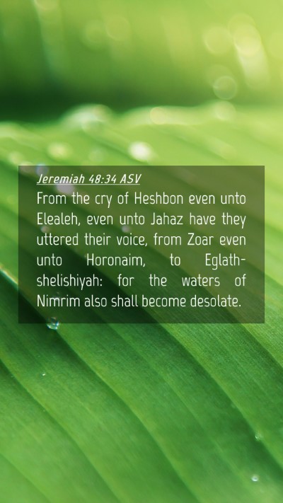Picture 04 - Jeremiah 48:34 ASV Mobile Phone Wallpaper - From the cry of Heshbon even unto Elealeh, even - Mobile Bible Verse Wallpaper