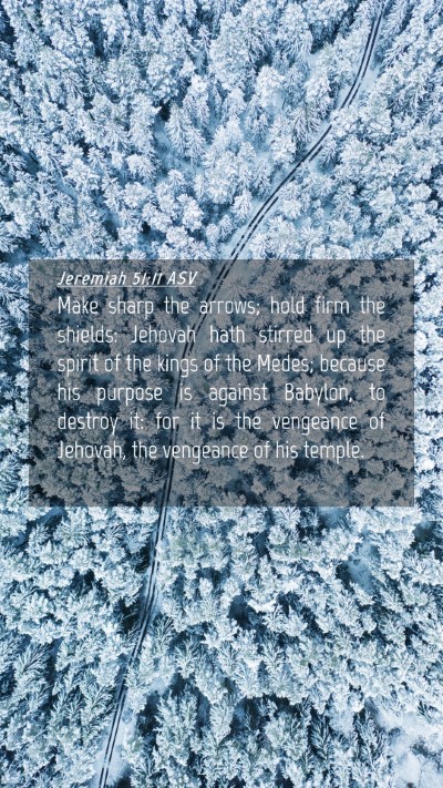 Picture 04 - Jeremiah 51:11 ASV Mobile Phone Wallpaper - Make sharp the arrows; hold firm the shields: - Mobile Bible Verse Wallpaper
