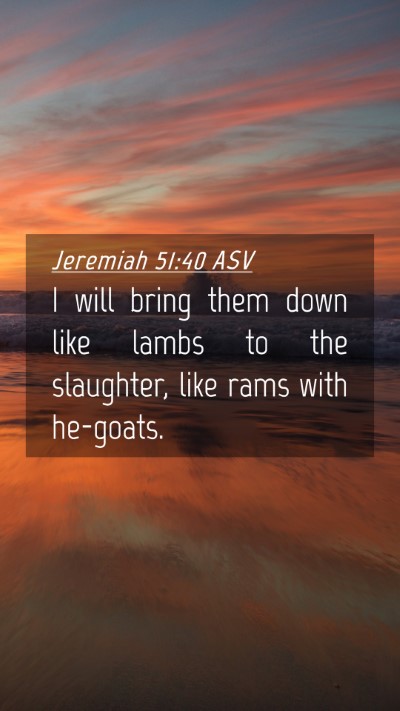 Picture 04 - Jeremiah 51:40 ASV Mobile Phone Wallpaper - I will bring them down like lambs to the - Mobile Bible Verse Wallpaper
