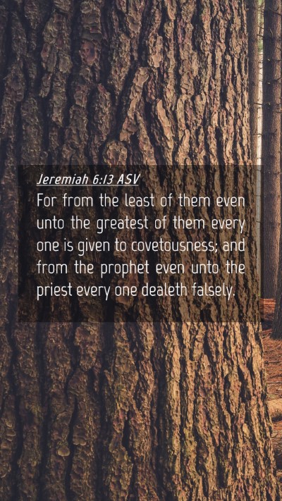 Picture 04 - Jeremiah 6:13 ASV Mobile Phone Wallpaper - For from the least of them even unto the greatest - Mobile Bible Verse Wallpaper